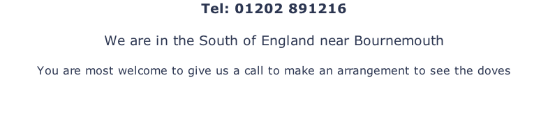 Tel: 01202 891216  We are in the South of England near Bournemouth  You are most welcome to give us a call to make an arrangement to see the doves