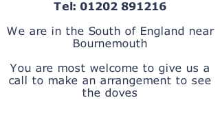 Tel: 01202 891216  We are in the South of England near Bournemouth  You are most welcome to give us a call to make an arrangement to see the doves